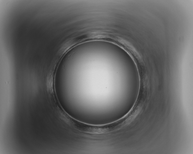X0000102511273200808081402