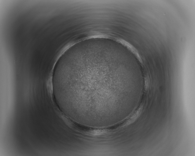X0000102511274200808081402