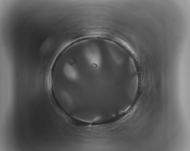 X0000102511275200808081402