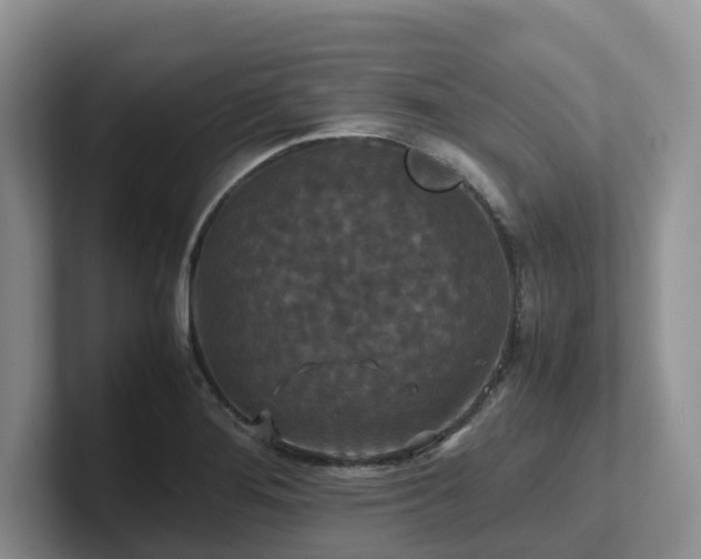 X0000102511276200808081402