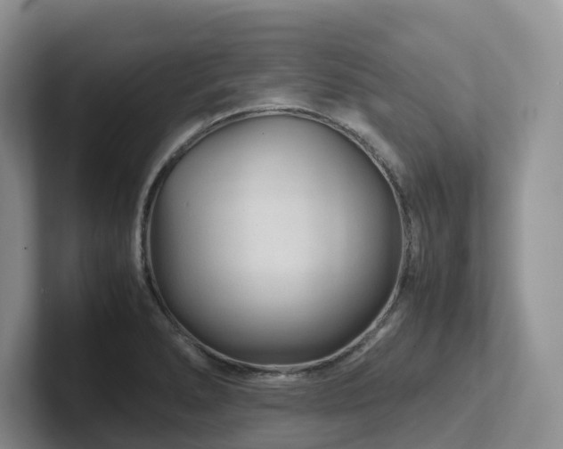 X0000102511278200808081402
