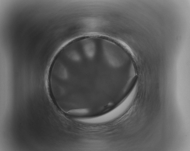 X0000102511279200808081402