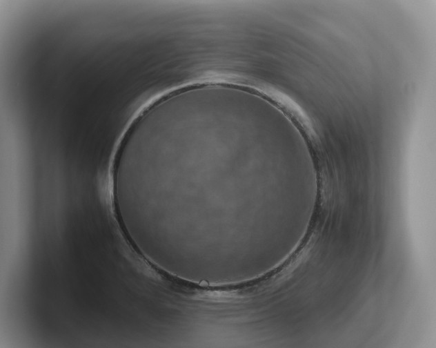 X0000102511280200808081402