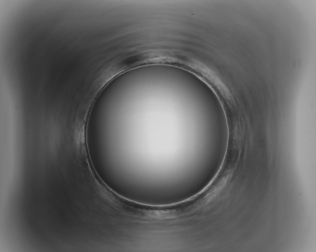 X0000102511281200808081402