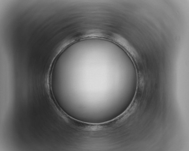 X0000102511282200808081402