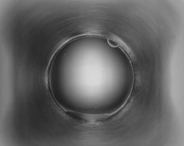 X0000102511284200808081402