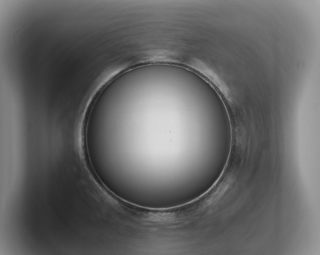 X0000102511285200808081402