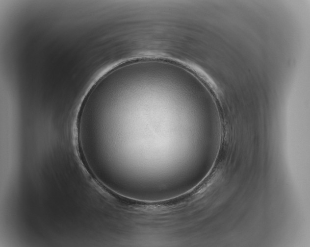 X0000102511287200808081402