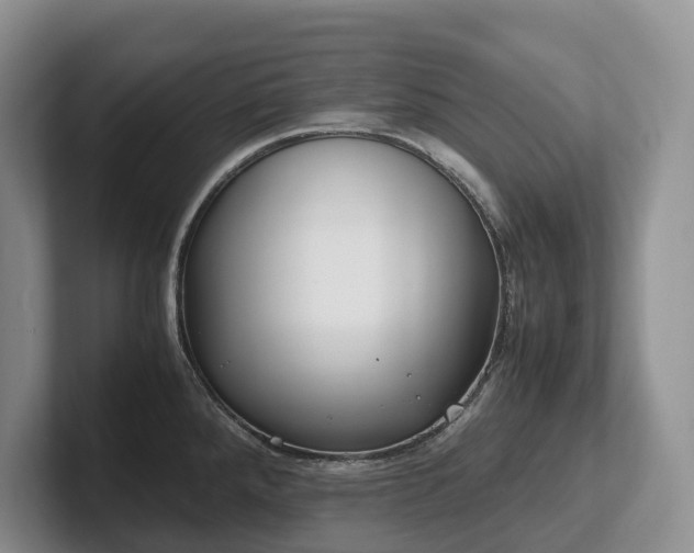 X0000102511288200808081402
