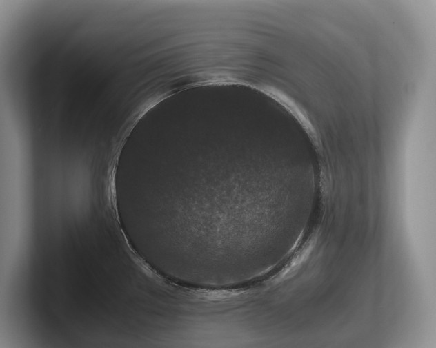 X0000102511289200808081402