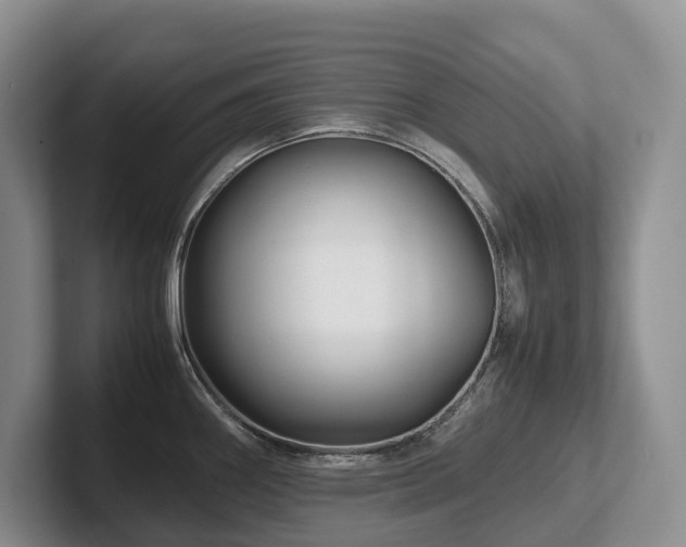 X0000102511290200808081402