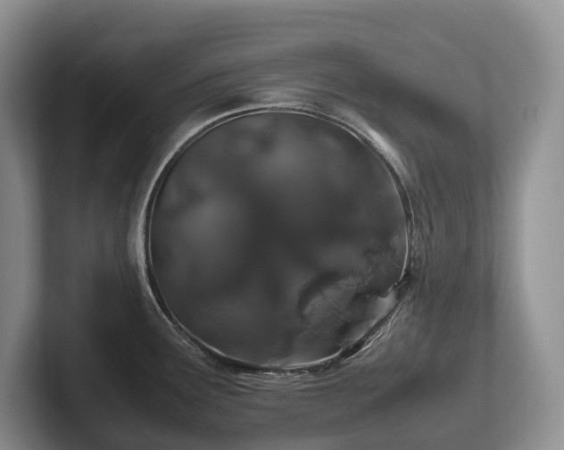 X0000102511291200808081402