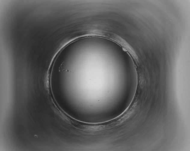 X0000102511292200808081402