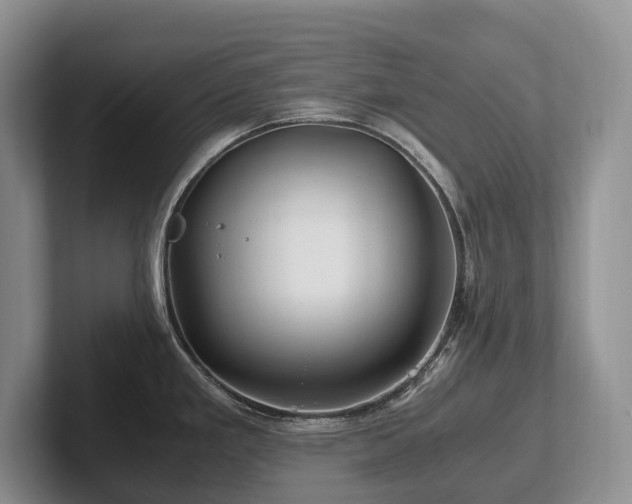 X0000102511293200808081402