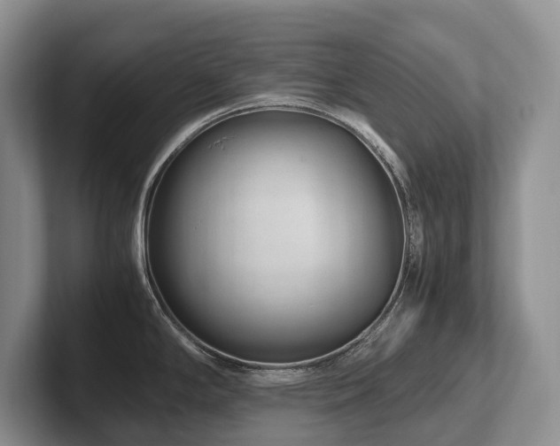 X0000102511294200808081402