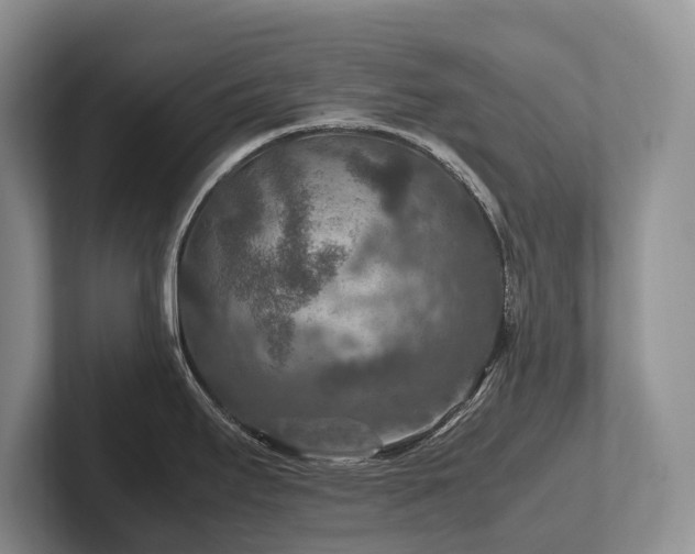 X0000102511295200808081402