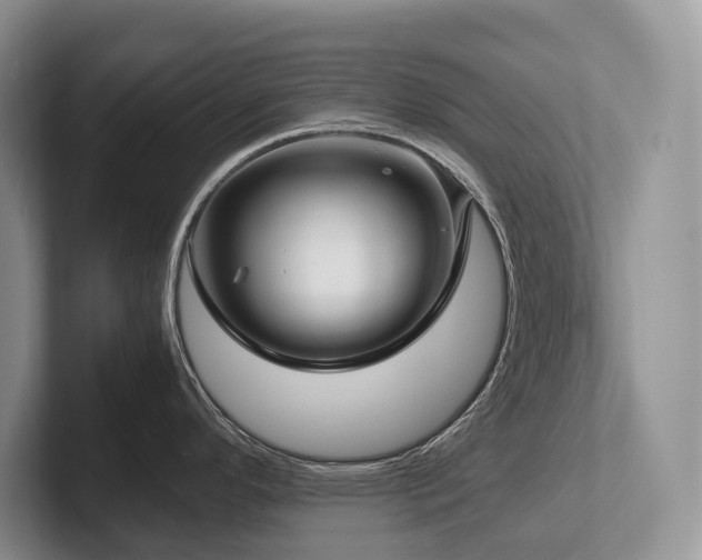 X0000102511296200808081402