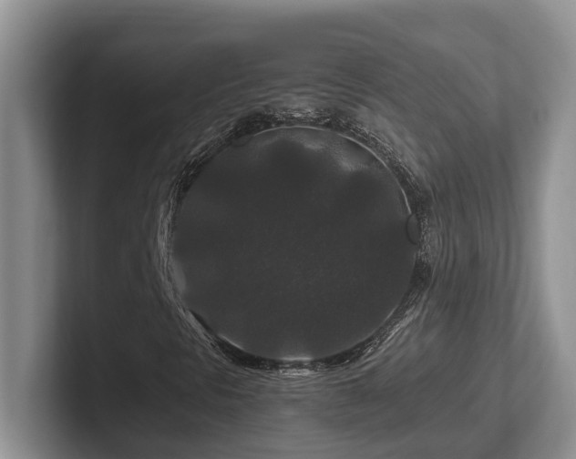X0000102511297200808081401