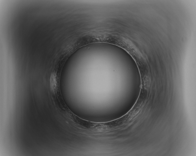 X0000102511298200808081401