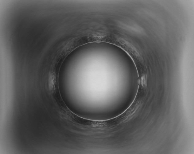 X0000102511299200808081401
