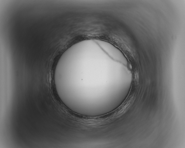 X0000102511300200808081401