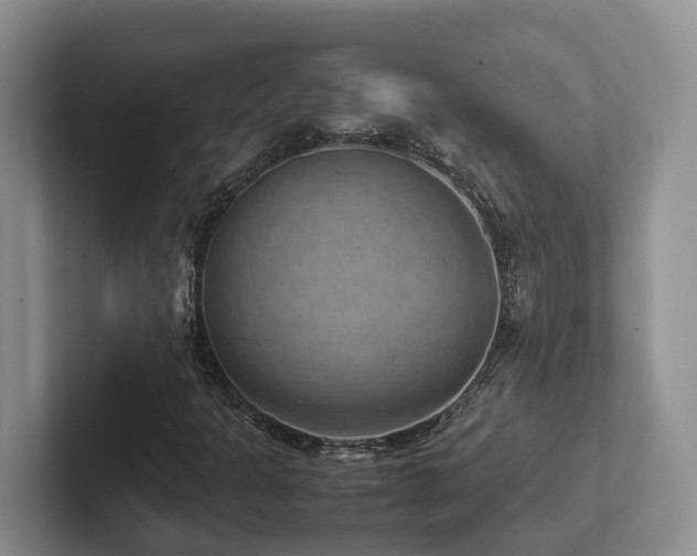 X0000102511301200808081401