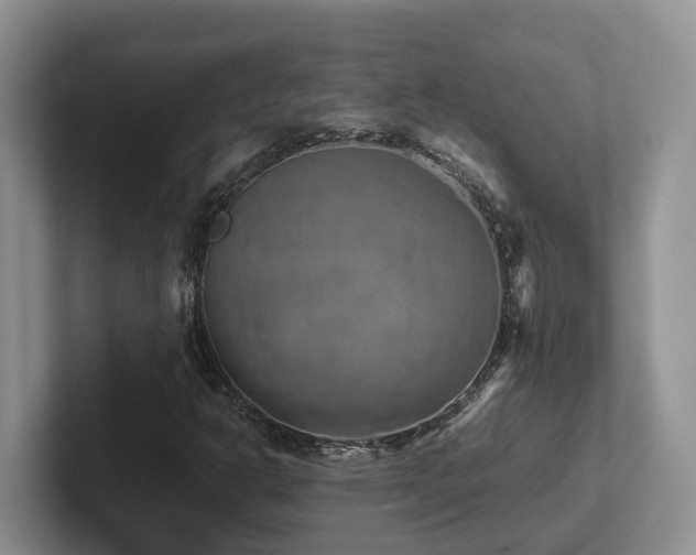 X0000102511302200808081401