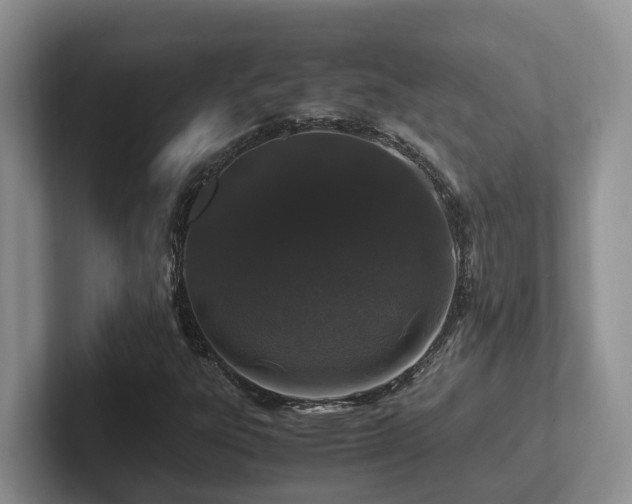 X0000102511303200808081401
