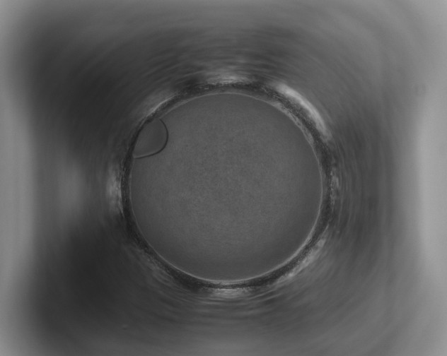 X0000102511305200808081401
