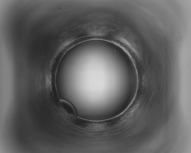 X0000102511307200808081401