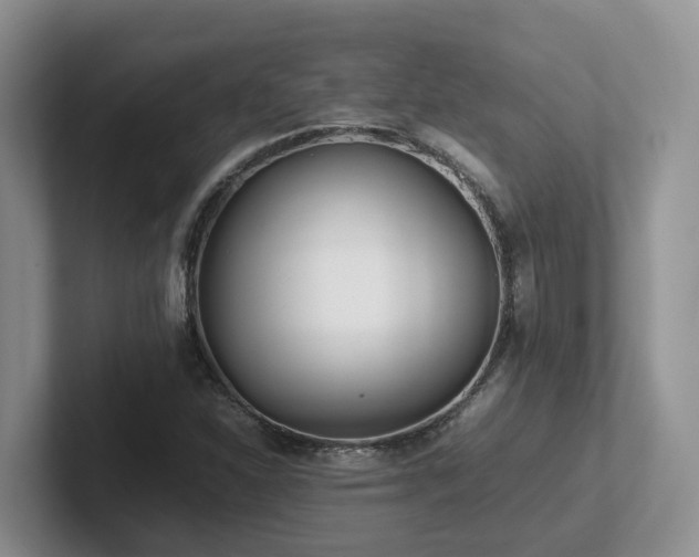 X0000102511310200808081401