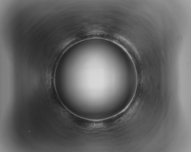 X0000102511313200808081402