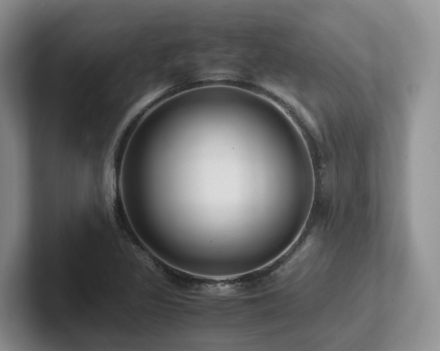 X0000102511317200808081402