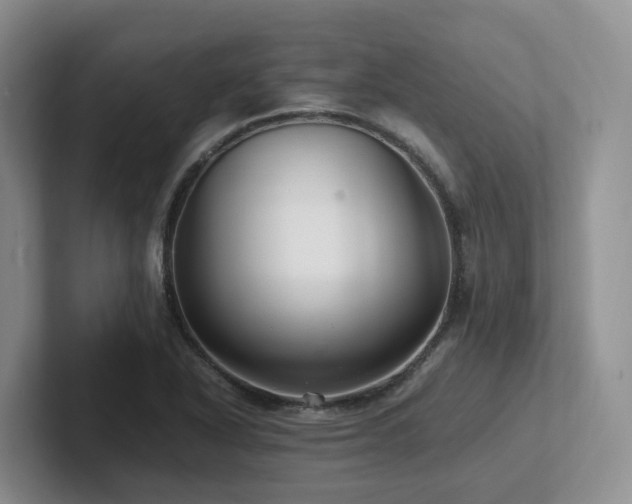 X0000102511318200808081402