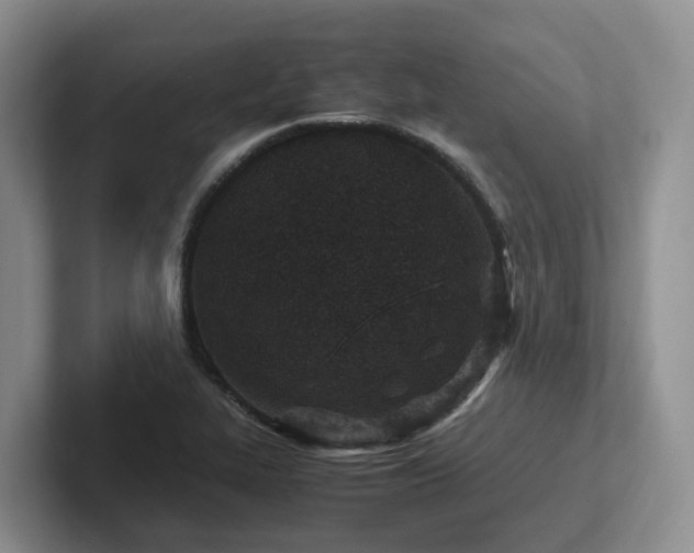 X0000102511319200808081402