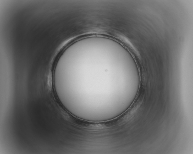X0000102511320200808081402
