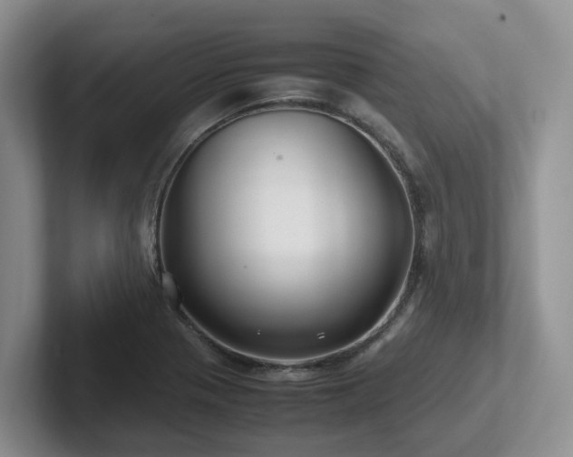 X0000102511321200808081402