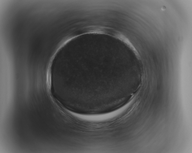 X0000102511323200808081402