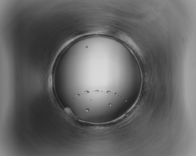 X0000102511324200808081402