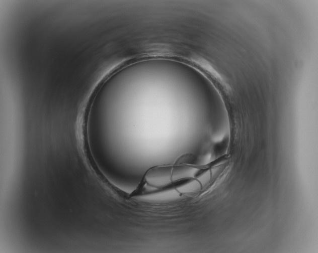 X0000102511325200808081402
