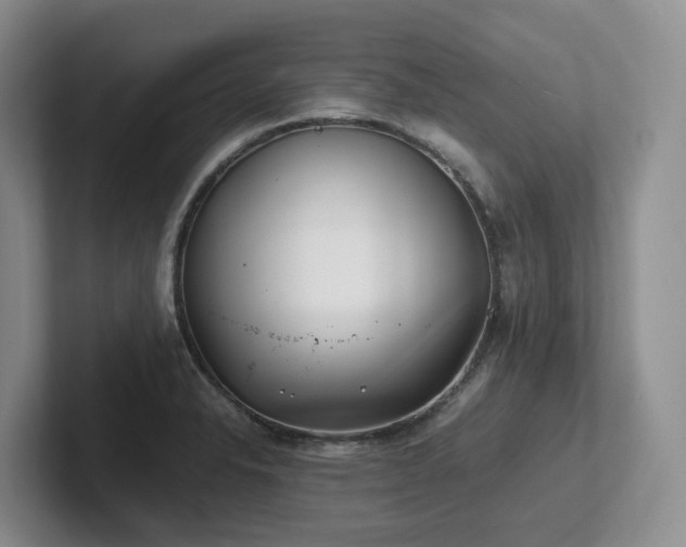 X0000102511326200808081402