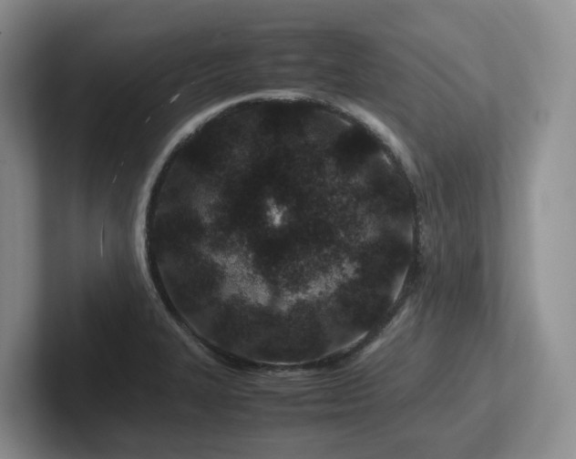 X0000102511327200808081402