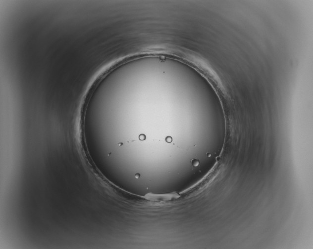 X0000102511328200808081402