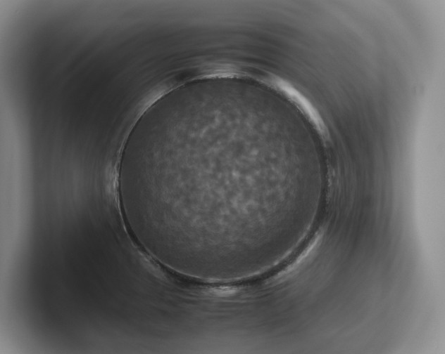 X0000102511329200808081402