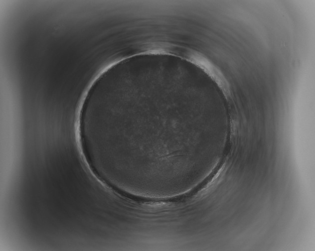 X0000102511331200808081402
