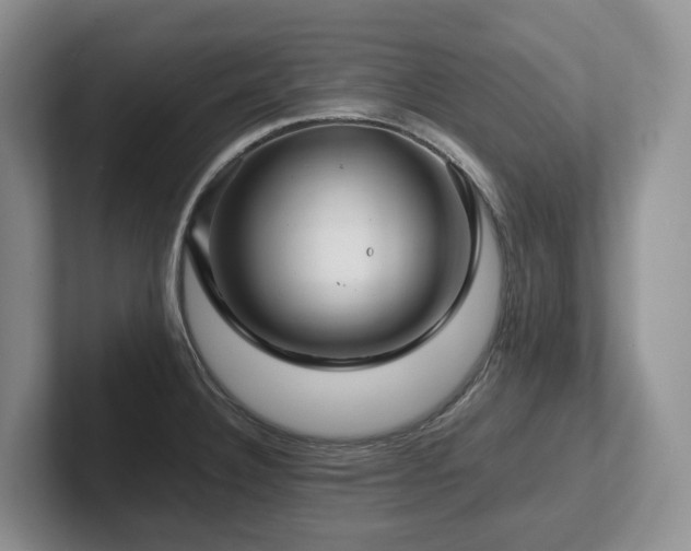 X0000102511332200808081402