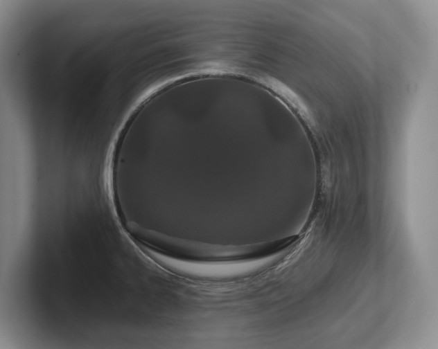 X0000102511334200808081402