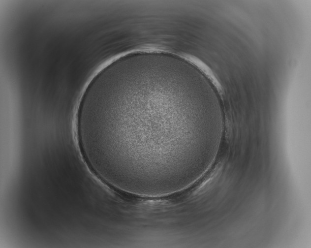 X0000102511335200808081402
