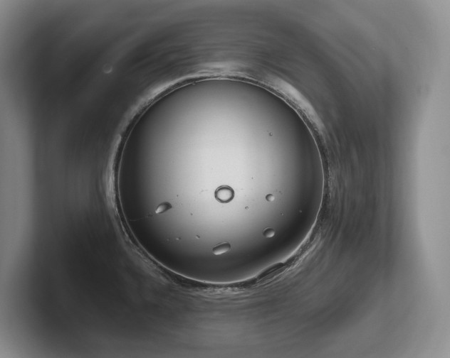 X0000102511336200808081402