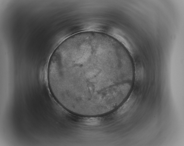 X0000102511338200808081402